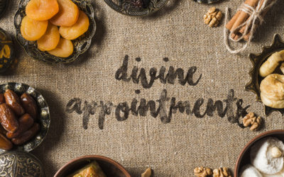 Divine Appointments