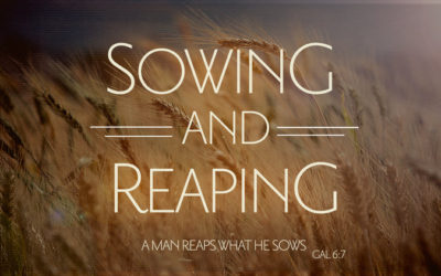 Sowing and Reaping