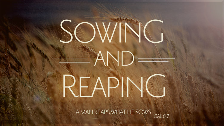 Sowing and Reaping