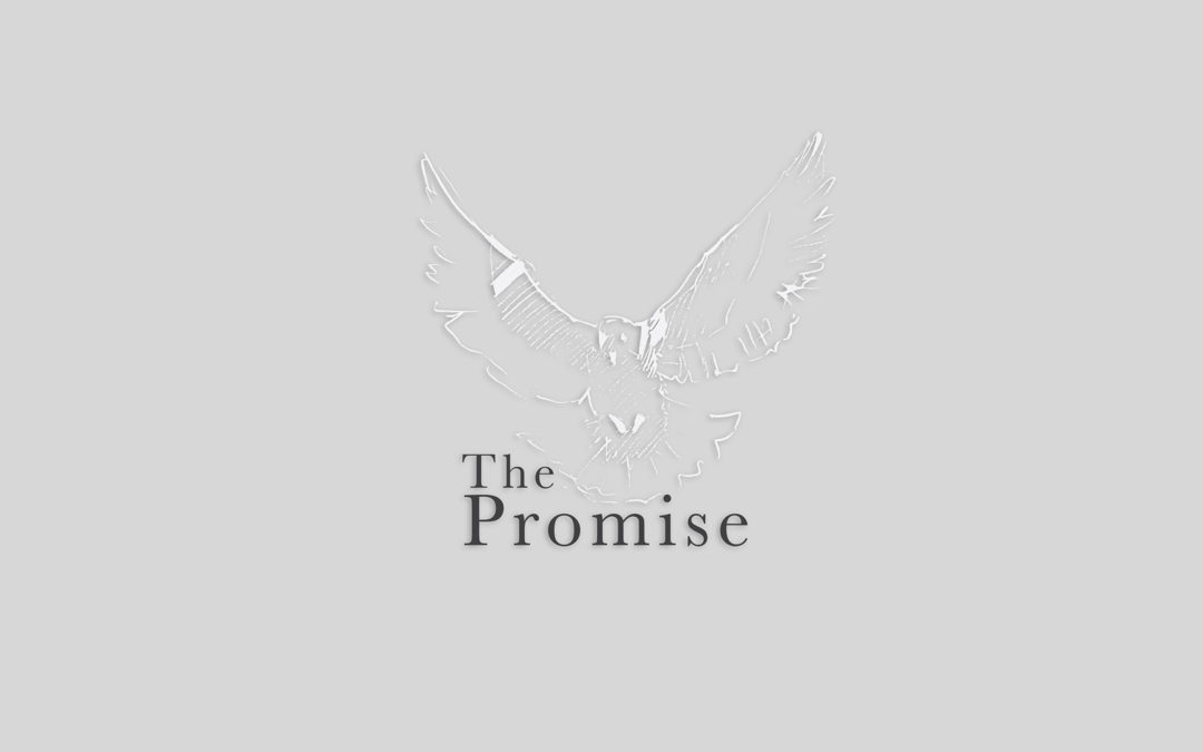 The Promise 2019