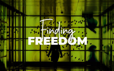 Finding Freedom