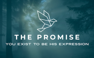 The Promise (2021-22)