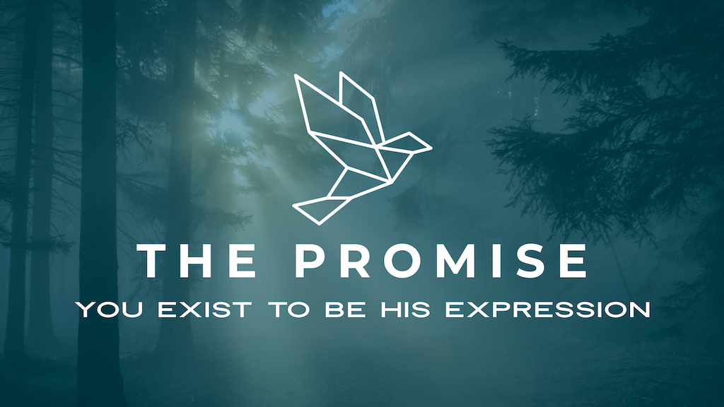 The Promise (2021-22)