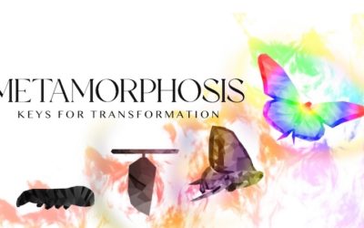 Metamorphosis – Keys For Transformation