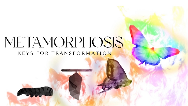 Metamorphosis – Keys For Transformation