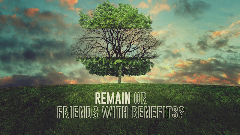 Remain: Or Friends With Benefits