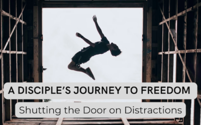 A Disciple’s Journey to Freedom