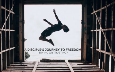 A Disciple’s Journey to Freedom