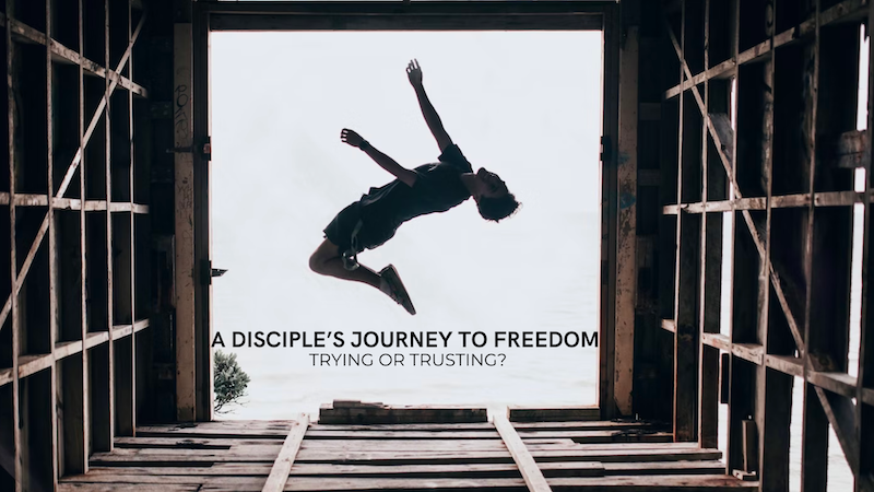 A Disciple’s Journey to Freedom