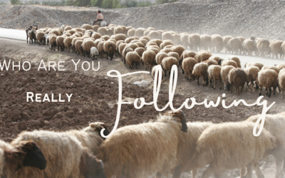 Who Are You Really Following?