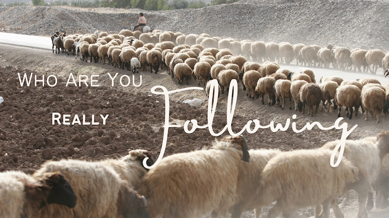 Who Are You Really Following?