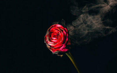 The Perfect Love Story