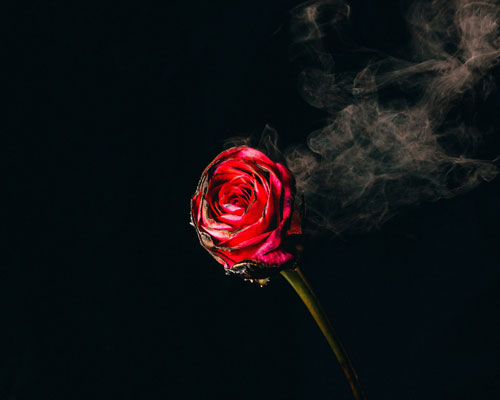 The Perfect Love Story