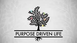 Purpose Driven Life