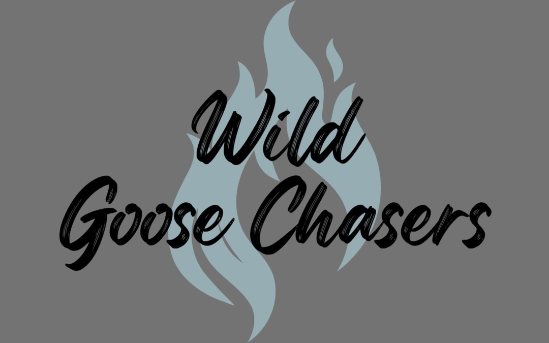 Wild Goose Chasers